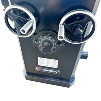 Scie circulaire verticale CHANSEN 2,2 kW avec lame de 250 mm pour le travail du bois