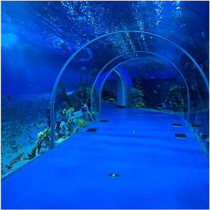 ตู้ปลาที่ใหญ่ที่สุดที่มีหัวใหญ่คุณสามารถซื้อหรือขายได้ - Product Image 2