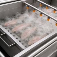 RVS 304 voedselveilige wasmachine voor het verwijderen van slijm, bloed en ingewandenresten van vis, garnalen, groenten en fruit.