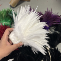 Plumes de coq naturelles en gros de 4 à 8 pouces pour la fabrication de chapeaux, éventails, artisanat, arrangements floraux de mariage et décoration