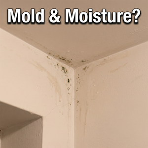 Pintura protectora funcional a base de agua, antimoho, resistente a la humedad, para superficies de paredes interiores húmedas. - Product Image 2