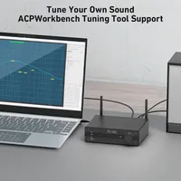 Penerima Audio Nirkabel Arylic BP50 Stereo Tube Preamplifier untuk Sistem Home Theater