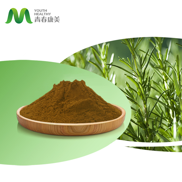 Nanjing Rosmarinus Officinalis Extract Rosemary Herb Leaf Extract Powder From China