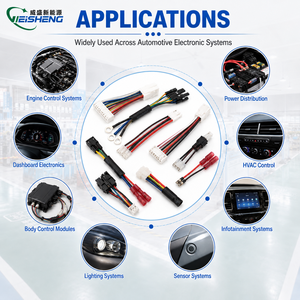 Ensemble de câbles de faisceau de câblage personnalisé 22AWG certifié IATF 16949, faisceau OEM ODM pour usage automobile - Product Image 2