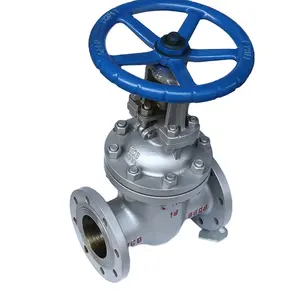 Api Jis 3Inch 4Inch 6Inch 8Inch Gate Valve CF8 CF8M Rvs 304 316 Flens Gate klep Voor Water Of Olie