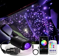 Kit de Plafonnier Étoilé en Fibre Optique Scintillante 6W Petite Taille pour Voiture, Moteur d'Étoiles Activé par le Son avec APP et Télécommande pour Voiture et Maison