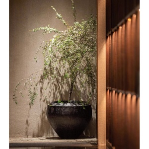 Pots <span class=keywords><strong>de</strong></span> fleurs en fibre <span class=keywords><strong>de</strong></span> verre décoratifs d'intérieur et d'extérieur pour décoration <span class=keywords><strong>de</strong></span> jardin, Grandi Vasi Per Piante - Product Image 4