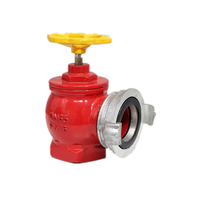 Unique en laiton bouche d'incendie intérieure vanne SNS6565 (afrique du sud type bouche d'incendie. 3 pouces)