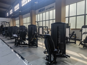 เครื่องออกกำลังกายรุ่นใหม่ปี 2023 สำหรับบริหารหลังส่วนล่าง - Product Image 3