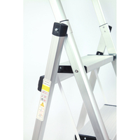 Échelle pliante télescopique moderne pour la maison, en aluminium, 6 marches, avec boîte à outils, portable