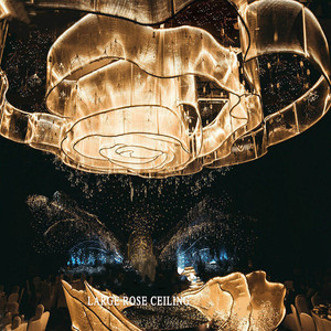 Manufacturers Wholesale New Wedding <b>Ceiling</b> Props Rose <b>Ceiling</b> Golden Yarn Hotel Wedding Hall Shadow Rose <b>Ceiling</b> - Product Image 2