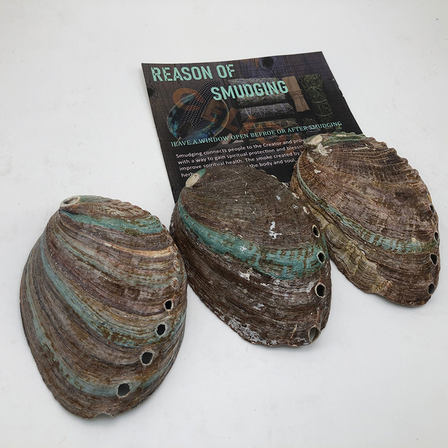 CELION Wholesale White Sage Bowl Sea Shell Home Decoration Chinese Natural Abalone Shells