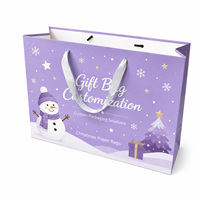Sacs cadeaux en papier de luxe écologiques pour Noël, avec poignées à cordon, taille moyenne, promotion, vente en gros, emballage de détail