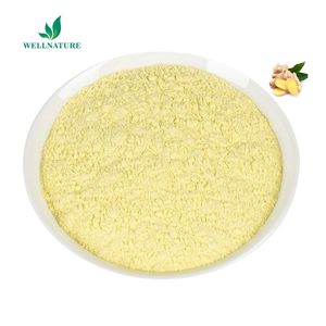 Hochwertiges wasser lösliches Ingwersaft-Extrakt pulver Organisches Ingwer pulver Instant-Ingwer pulver - Product Image 2