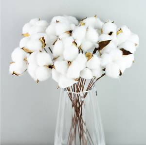Naturellement séché <span class=keywords><strong>coton</strong></span> <span class=keywords><strong>fleurs</strong></span> blanc maison décorative artificielle branche florale mariage demoiselle d'honneur <span class=keywords><strong>Bouquet</strong></span> décor faux blanc fleur - Product Image 2