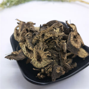 Sheng Ma 100% Natuurlijke Organische Chinese Kruid Gedroogde Zilverkaars Wortels Cimicifuga Foetida - Product Image 6