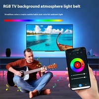Tira LED RGB de 5M Impermeable IP65 5V 5050 Luces Grafiti USB Coloridas para Fondo de TV con Música Bluetooth e Iluminación Ambiental