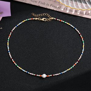 Collar de cuentas de piedra natural, cadena corta de perlas de agua dulce redondas y coloridas, joyería de moda de estilo bohemio - Product Image 4