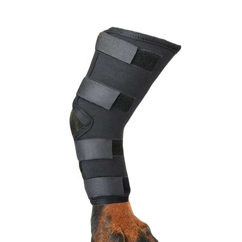 UOO OEM Shiny Leather Neoprene Horse