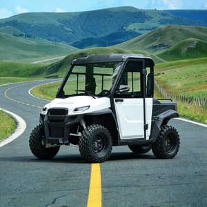 Voiturette de golf Cengo agricole 4x4 biplace fermée, autonomie 70-90 km, certifiée CE/GCC/EEC, batterie au lithium, vente en gros - Product Image 1