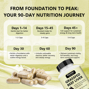 Compléments Alimentaires : Pilules de Foie de Bœuf Nourri à l'Herbe pour l'Énergie et la Fonction Cérébrale – Capsules de Foie de Bœuf de Qualité Supérieure - Product Image 3