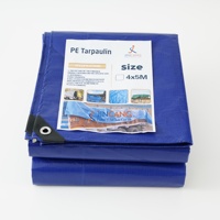 Bâche de toiture légère en polyéthylène imperméable, bâche PE bleue