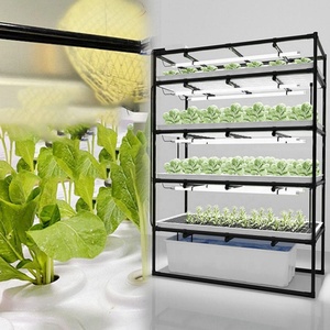 Large Hydroponics Grow Kit System for Fodder Barley Irrigation Vertical Agricultural Farming Kit - Product Image 5