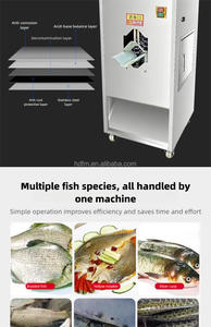 Machine de traitement du poisson en acier inoxydable avec commande manuelle et roues pour une mobilité aisée - Product Image 5