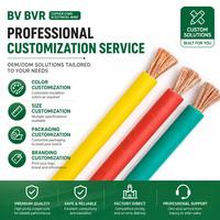Câble Électrique en Cuivre BV BVR 2,5 mm 4,0 mm Ignifuge pour Câblage Résidentiel OEM – Vente en Gros