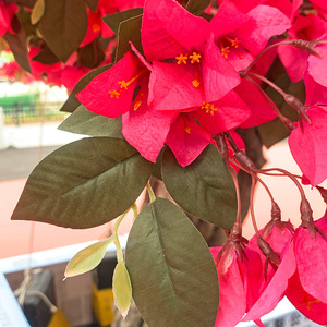Arbres de Bougainvilliers Artificiels en Fibre de Verre à Haute Simulation Personnalisables pour la Décoration de la Maison, du Jardin et de l'Hôtel - Product Image 5