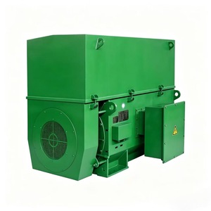 High Power Density 6kV/10kV High Voltage Induction Motor 3kV-13.8kV IE3 Efficiency for Heavy Duty Industrial Use HV Motor - Product Image 3