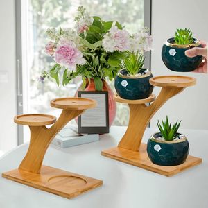 Platillos <span class=keywords><strong>de</strong></span> bambú <span class=keywords><strong>de</strong></span> 3 niveles, soporte individual <span class=keywords><strong>para</strong></span> escritorio <span class=keywords><strong>de</strong></span> oficina en casa, decoración interior, Mini maceta <span class=keywords><strong>de</strong></span> flores <span class=keywords><strong>de</strong></span> <span class=keywords><strong>Cactus</strong></span>, maceta decorativa <span class=keywords><strong>para</strong></span> jardín - Product Image 2