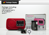 Reproductores de Música MP3 Mini Pequeños y Económicos LCJ L-839 con Soporte para Tarjetas SIM, USB, SD de 256 MB/512 MB/4 GB/8 GB/16 GB/32 GB para Personas Ciegas