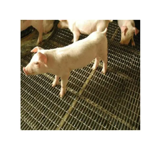 Malha de fio frisado de aço inoxidável, folha de malha como piso para porco ovelha 304 316 316l galvanizado
