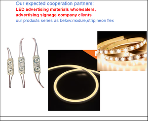 Módulo LED retroiluminado DC12V, 20 piezas por cadena, resistente al agua y al fuego, con una potencia de 1 vatio. - Product Image 2