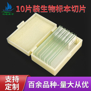 Experimental biological <b>microscope</b> specimen slides, 10 types of biological teaching materials, biological slide specimens - Product Image 5