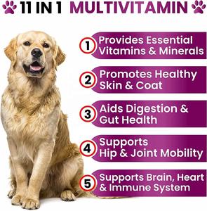 Vitaminas para perros Masticables Suplemento para mascotas con probióticos Suaves Masticables Vitaminas y suplementos para perros Multivitamínico diario Golosinas para perros - Product Image 2
