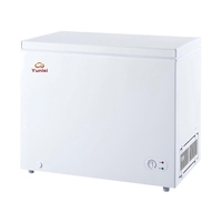 Article populaire BC/BD-158 Congélateur coffre électrique 150L, compartiments de rangement profonds à porte unique avec couvercles pour camping-car et usage extérieur, conception portable
