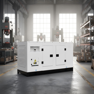 Générateur diesel Ricardo 24 kW 30 kW 35 kW 40 kW avec refroidissement par eau, alternateur 100 % cuivre, groupe électrogène triphasé - Product Image 4