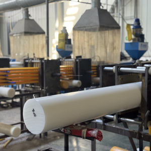 Barra in Nylon 6/6 di Precisione - Dimensioni Stabili per Perni di Posizionamento e Rondelle ad Alta Tolleranza - Product Image 3