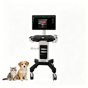 Ecógrafo Doppler Color Veterinario Portátil Ligero con Pantalla LCD 2B/4B, Tipo Carro - Product Image 6