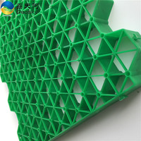 Grille en nid d'abeille en HDPE pour gazon
