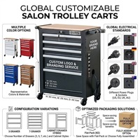 Armoire à outils de salon de coiffure en acier à 5 tiroirs OEM, chariot de rangement roulant avec support pour sèche-cheveux, utilisation en atelier, garantie 1 an