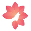 Shijiazhuang Shining Trading Co., Ltd.