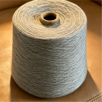 Factory Price 100% Polyester Spun Yarn 32S Ring Spun Standard Strength Raw Sewing Knitting Fabric for Socks