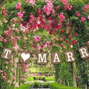 ชุดตกแต่งงานแต่งงา<span class=keywords><strong>น</strong></span>แบบแขว<span class=keywords><strong>น</strong></span> <span class=keywords><strong>ป</strong></span>้ายข้อความ Just Married สำหรับงา<span class=keywords><strong>น</strong></span>เลี้ยงต้อนรับ งา<span class=keywords><strong>น</strong></span>เลี้ยงฉลองสมรส ฉากหลังตกแต่ง - Product Image 4