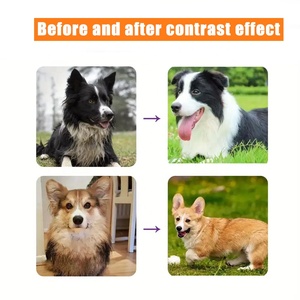 Shampooing et revitalisant pour animaux de compagnie 6 en 1 Nettoyage en profondeur des cheveux Produits de toilettage <span class=keywords><strong>anti</strong></span>-démangeaisons Shampooing hypoallergénique pour chiens et chats - Product Image 2