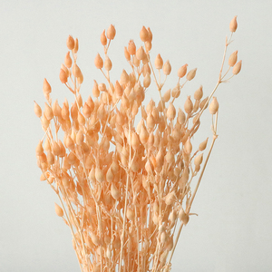 Yongsheng Flower - Ramo de Flores Importadas de Hierba Voladora, Venta al por Mayor de Fábrica, Decoración para el Hogar - Product Image 2