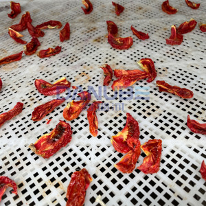 Nouvelle technologie de sécheuse à tomates, ligne de production de séchage de tomates, équipement de déshydratation de tomates - Product Image 5