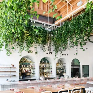 Whole outdoor artificial vines Can Make Any Space Beautiful and Vibrant 